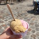 몽생미셀 | [왓츠인마이블로그] 혼자 다녀왔던 몽생미셀 투어 (에트르타, 옹플뢰르, 몽생미셀)