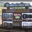 신평동345 | 경북여행지 가볼만한 곳 추천 11곳 안동하회마을 문경새재 영덕고래불 포항호미곶 경주 대구 경산 칠곡...