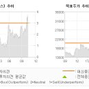 시현자화