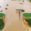 낙동강제방(1) 이미지