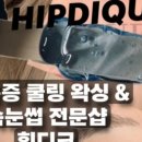 힙디크