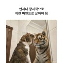 다은약국 | 2026 새해 맞이