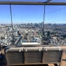 금능교차로 공중화장실 | 도쿄 시부야스카이 전망대 예약 가격 후지산뷰