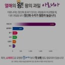 성주골농원 | 분말 아로니아가루 ] 성주골농원 박상현의 자연을 담은 아로니아 섭취후기 : 아로니아먹는법 아로니아...