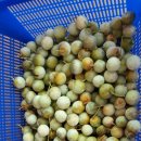 청은농장 이미지