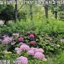 초계초등학교 이미지