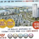 신덕5호 이미지