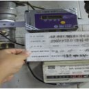 동화반점 이미지