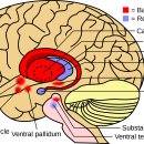 보문효사랑요양병원 이미지