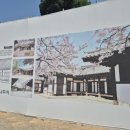 금성관/목사내아 이미지