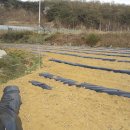 금가면사무소 이미지