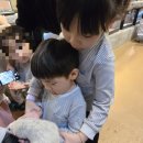 애완동물원 | 부산 실내데이트 추천 라라쥬 동물원 아이와함께 파충류 체험