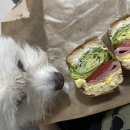 오락조아 이미지