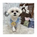 멍앤리치 이미지