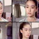동방불패 - 장흥군 | 동방불패