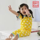 데이클로 이미지