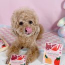 메리도프 이미지