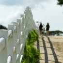 초원목장B 이미지