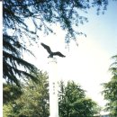 웅비의 탑 이미지