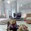 매트리스 찾아 삼만리 (힐러리디비, 에페다, 글렌크래프트, 이스트맨하우스 등) 수입매트리스 후기
