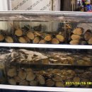 부일상회 이미지