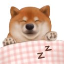 함양동물병원 이미지