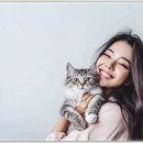 펫퍼스트 24시 강아지분양 고양이분양 파주운정점 이미지