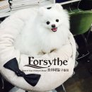 포쉬네일구월점 이미지