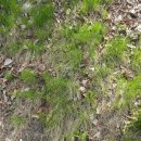 오늘의숲 이미지