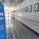 동해를 그리다 이미지