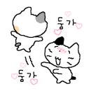 생마차 강남역점