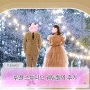 W.5 루엘스튜디오 웨딩촬영 후기(온실(로체), 실내 2층(루미디아 핑크드레스)+서비스컷, 중단발 헤어변형)