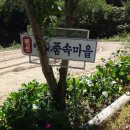 어머니 품속마을펜션 이미지