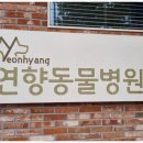연향동물병원 이미지