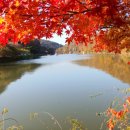 함안 산인 입곡 군립공원ㅡ[181110] 이미지