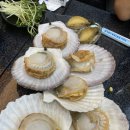 용산-356 이미지