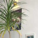 트루커피 이미지