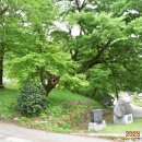 도진(박달2리) 이미지