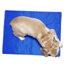 우쭈쭈애견샵 이미지