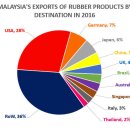 말레이시아, 고무장갑 수출량 선두 이미지