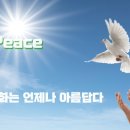 평화 이미지