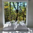 스테이사계 이미지