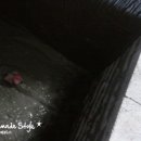 원목욕탕 이미지