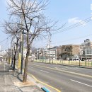대전대마트