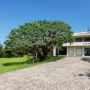 성산패총(유물전시관) 이미지