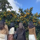 다다목장 이미지