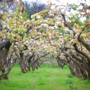 정이농장 이미지