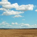 맑은하늘 이미지