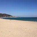 노은스크린골프존 | 일상이야기-#5 검사외전 후기, 고향집가다 바다구경, 골프존 조이마루 산책