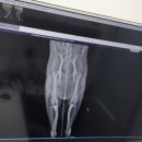 척척 동물의료센터 이미지